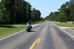 Sam Houston National forest